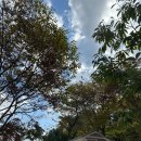 달콤한 캠핑장 | 가평 사과나무 캠핑장 : 세번째 방문, 포도존 3번 후기