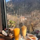 홍시먹으러곶감 이미지