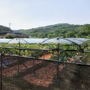 동천2리 마을회관 이미지