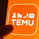 EU: 테무, '불법 제품'으로 법 위반 이미지