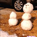 솔지에로펜션 | 양평펜션, 이색펜션, 가족펜션, 커플펜션] 솔지에로 펜션