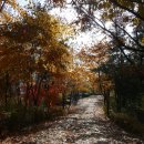 동작충효길 6코스 동작마루길 이미지