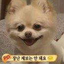 동물농장 이미지