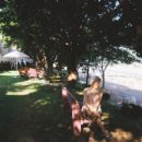 리틀프로방스 이미지