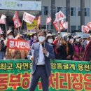 월정리마을회 이미지