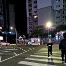 부산 미남 순대트럭! 효자순대! 차에서 먹은 후기