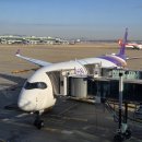 [태국여행] 방콕 타이항공 기종, 기내식, 수화물, 입국 출국 심사 시간, 아시아나 마일리지 적립방법 후기