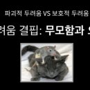 두려움을 용기로 바꾸는 마음의 연금술 이미지