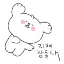 풍동 동물병원 이미지