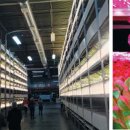 (주)미래도시 이미지