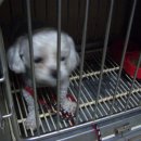 아현치안센터 이미지