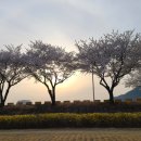 영강체육공원길 이미지