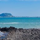 삼다수라상 이미지