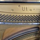 피아노펜션 이미지