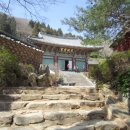 다솔사길 이미지