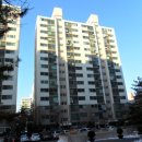 서구-01-41 이미지