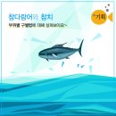 참치마찌 이미지