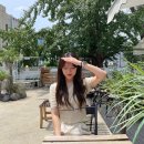 해브모어 이미지