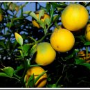 여일한의원 이미지