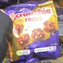 나무시스 이미지