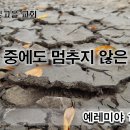 8월 4일(금) 기근 중에도 멈추지 않는 중보 이미지