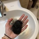 빨래대장 | 86. 대장암 환자의 먹고 회복하는 일기