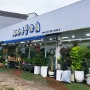 1004플라워 이미지