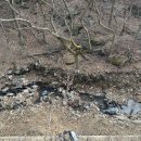 센트럴코업공인중개사사무소 이미지