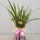 논현로2-3 이미지