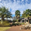 네추럴나인PC 이미지