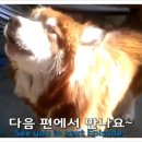 성룡농장 이미지