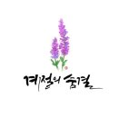 미망(迷妄)함의 여력 이미지