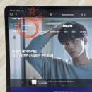 멜킨 폼롤러 요가 스트레칭 추천 냄새 없는 멜킨스포츠 홈트 세트 후기