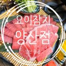 송원유치원 | [양산 물금] 참치뱃살 전문점:: 요이참치 양산점 방문 솔직후기