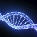 엘앤에스비뇨기과의원 이미지