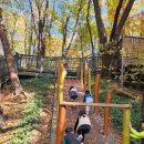 노원골유아숲 이미지