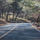 사동제 | 양산 통도사