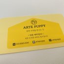 아르떼퍼피 이미지