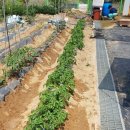 재실농장 이미지