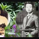 김혜호 Daum카페