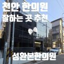 [천안 한의원 추천] 성환본한의원 솔직 후기 - 침치료, 추나요법, 교통사고 후유증까지!