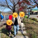 중앙암소숯불식당 이미지