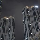 부산곰장어 이미지