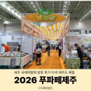 국제열쇠 - 남해군 화전로96번가길 4-1 | 2026 푸파페 제주 국제박람회 방문 후기 이색 제주도 체험