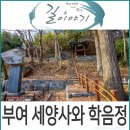 충화 지석리 고인돌 | 부여 가볼만한 곳, 부여 세양사와 학음정.