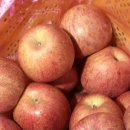 천원유통 이미지