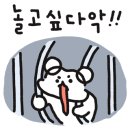 노브랜드 삼척중앙시장점 이미지