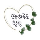 유아린헤어