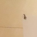 서산탑치과의원 이미지