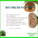 졸리기 전에는 절대 가지 말아야 할 곳 / 생활이침.홍채임상학 -최만규 교수- 이미지